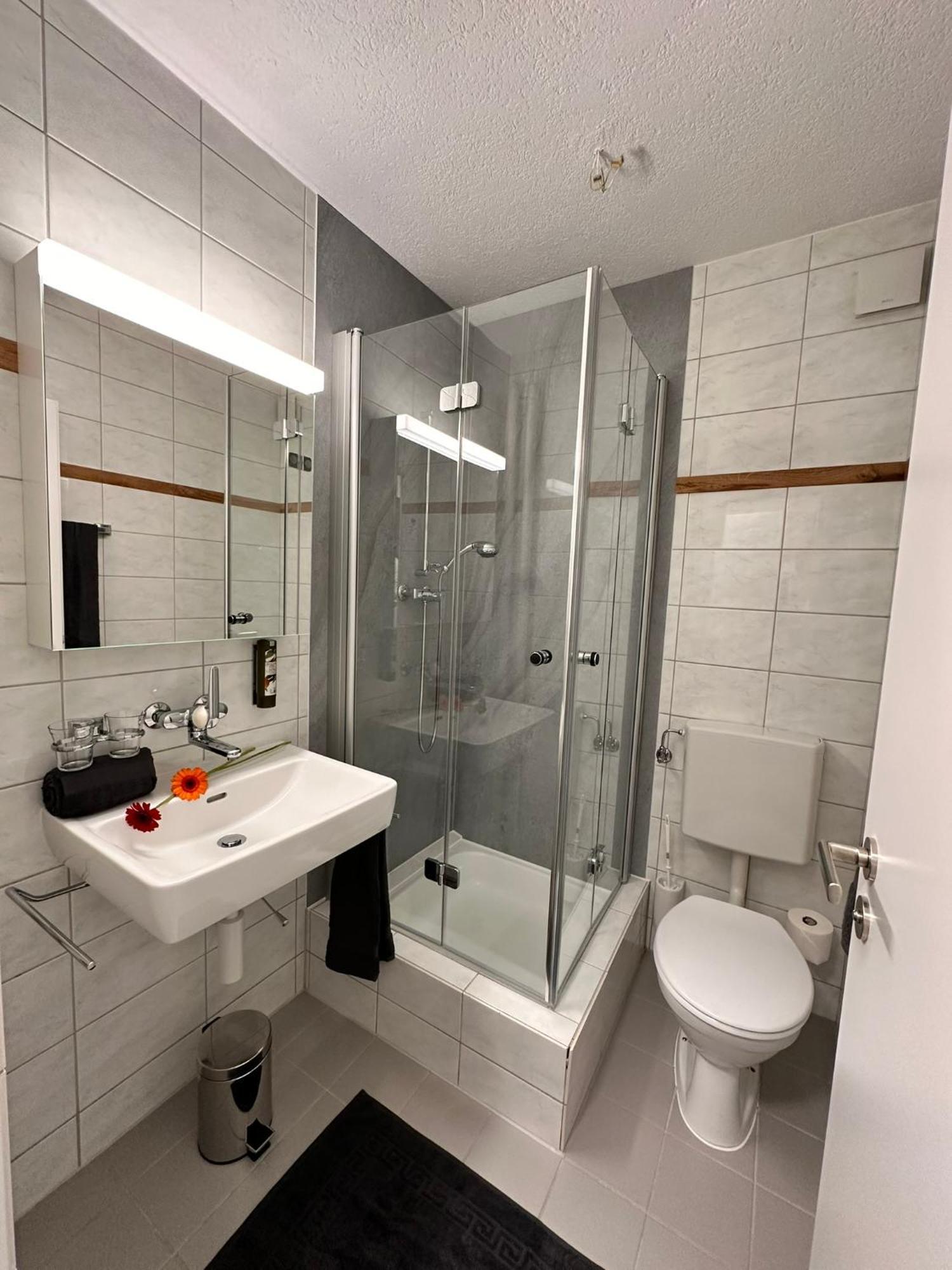 Business Hotel Riverside Duggingen Zewnętrze zdjęcie